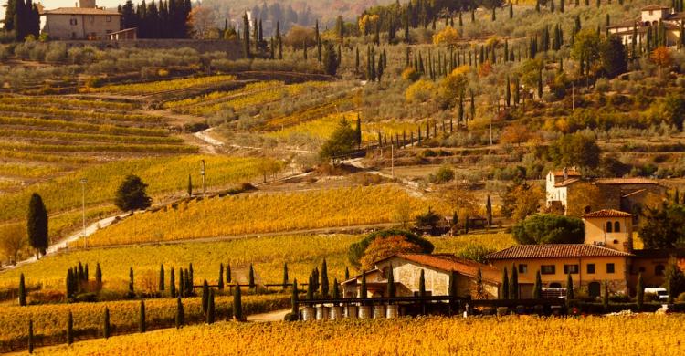 Paisaje del Valle de Chianti