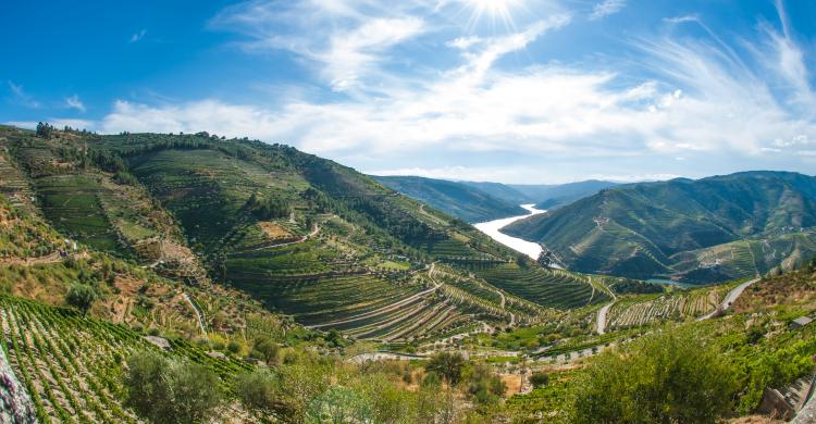 El Valle del Duero desde un mirador