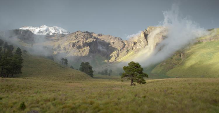 Valle de México