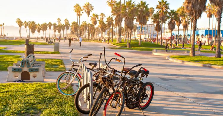Venice Beach