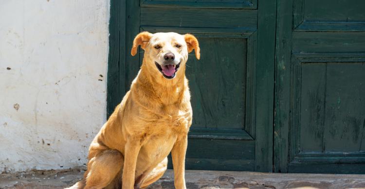 Vida cotidiana en Villa de Leyva