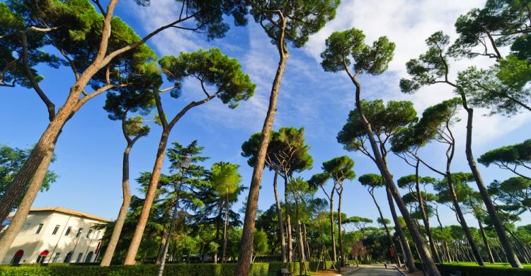 Caminos de Villa Borghese