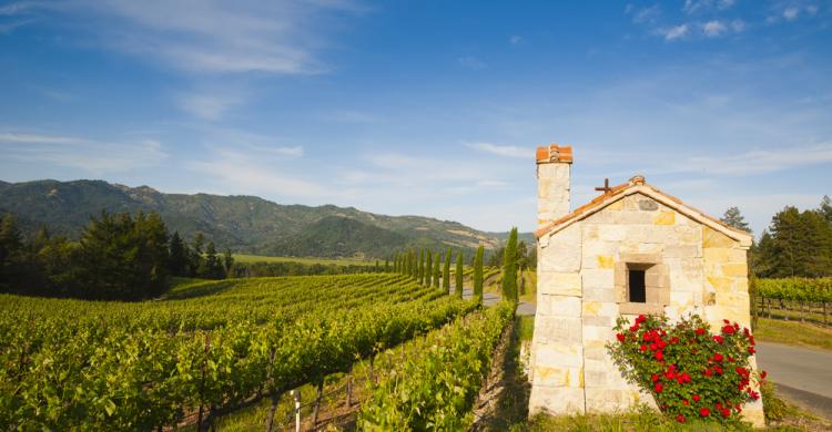 Excursión al Valle de Napa