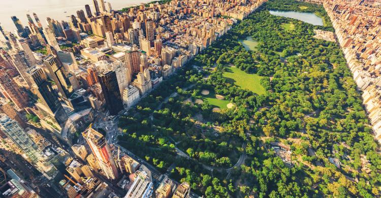 Vistas del Central Park