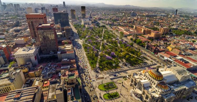 Vistas panorámicas del Parque Alameda y el Museo de Bellas Artes