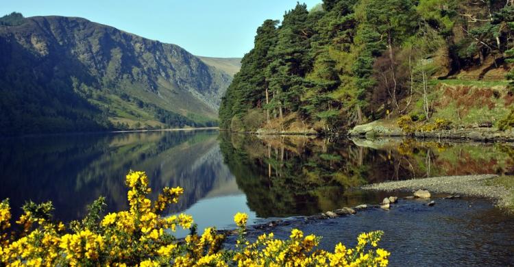 Lago en el Parque Nacional de Wicklow