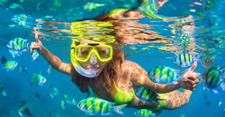 Snorkeling, una de las actividades que puedes hacer en el parque Xel-Há