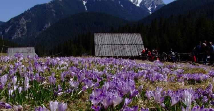 Vistas de los montes Tatras