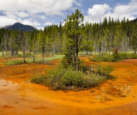 Parque Nacional Kootenay