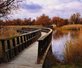 Parque Nacional Tablas Daimiel