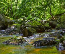 Parque nacional Harz