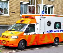 ambulancia amsterdam