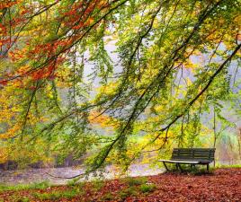 amsterdamse bos