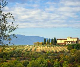 arezzo toscana