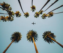 Llegar en avión - Miami