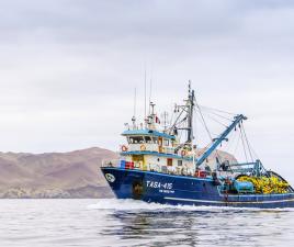 barco peru