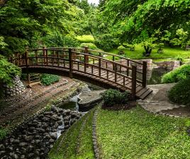 bosque boulogne