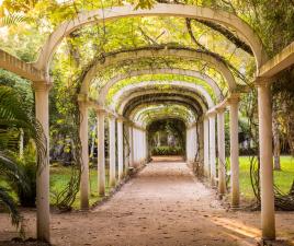 Jardín botánico Rio de Janeiro