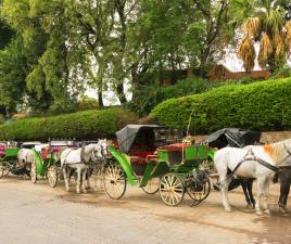 Calesas en Plaza Jemaa el Fna