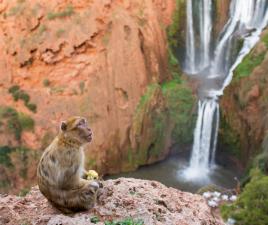 Cascadas de Ouzoud en Marruecos