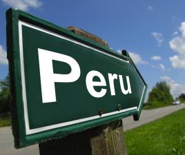 coche peru