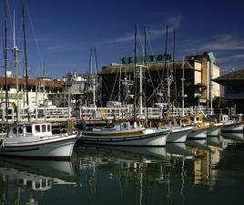 fishermans wharf