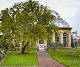 jardin botanico edimburgo