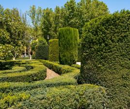 Jardin Botánico Madrid