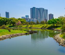 Jardín Hama Rikyu