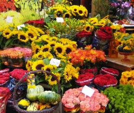 mercado flores