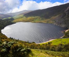 montanas wicklow