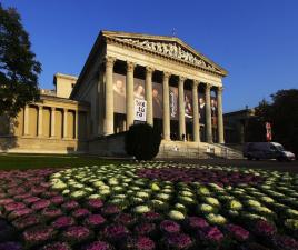 museo bellas artes