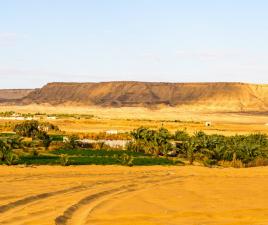 oasis bahariya