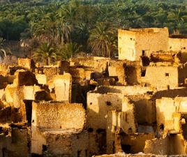 oasis siwa