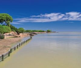 Parque Doñana