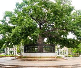 Parque de la Fraternidad - La Habana