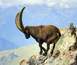 parque nacional vanoise