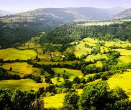 parque natural Auvergne