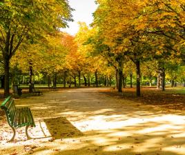 parque tiergarten