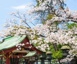 Parque Ueno