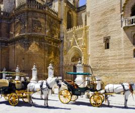 paseo caballo sevilla