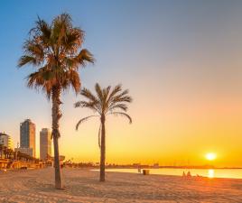 Playa Barceloneta