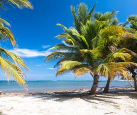 Playa Cabeza de Toro, Punta Cana