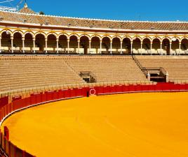 plaza toros