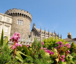 Historia dublin