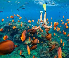 Snorkel en Punta Cana