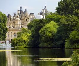 St. James Park