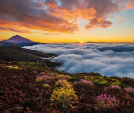 Subir el Teide permisos