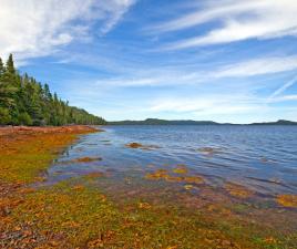 terra nova parque nacional