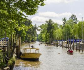 tigre buenos aires